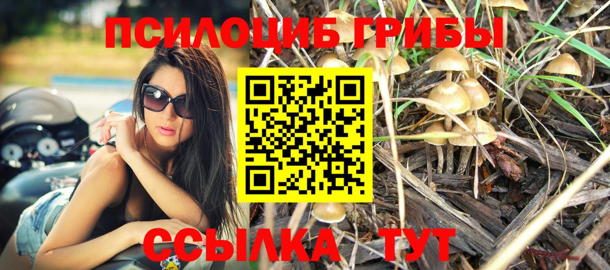 Кизляр  Псилоцибиновые грибы ЛСД  Псилоцибиновые грибы MAGIC MUSHROOMS  Вход с VPN 