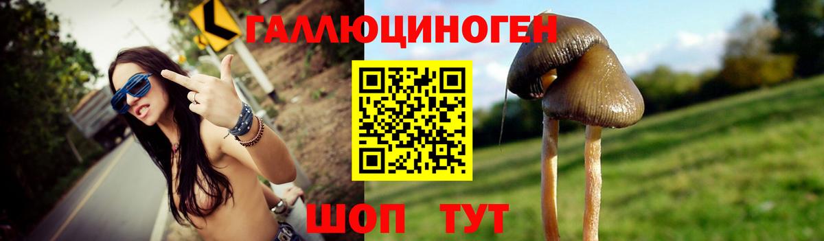 Псилоцибиновые грибы мицелий Кизляр